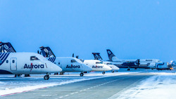 «Аврора» увеличит количество рейсов на зимний период