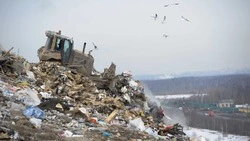 Причины смерти человека на полигоне ТБО выяснят в Южно-Сахалинске 