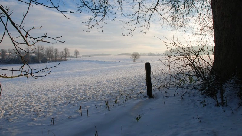 Церковный праздник 20 декабря 2023: что категорически нельзя делать в этот день