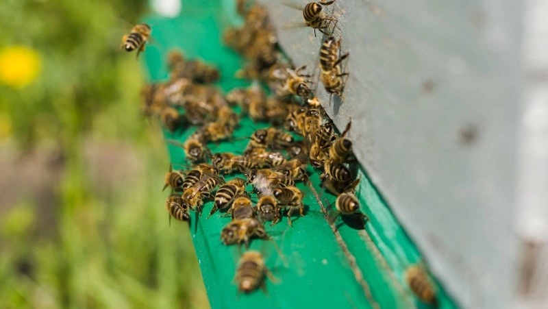 Церковный праздник 2 июля 2025: что нельзя делать в этот день, приметы