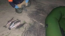 Житель Анивского района перекрыл нерестовую реку сетями