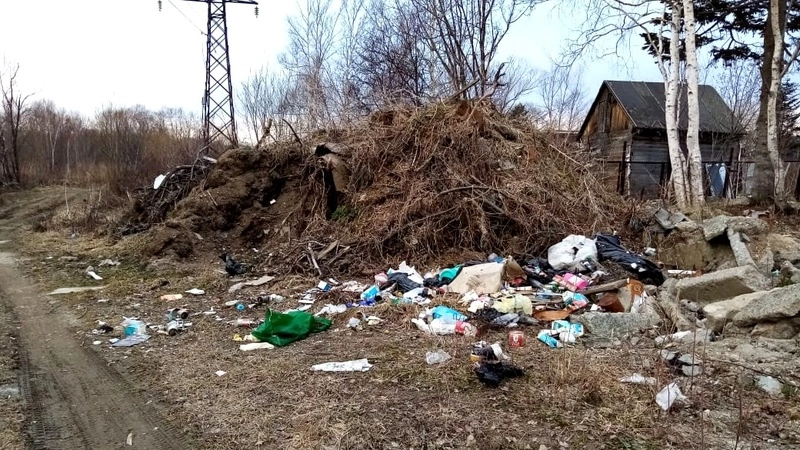 На Сахалине дачный «Локомотив» превратился в мусорный полигон