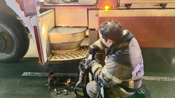 Спасатели потушили строительный мусор в Долинском районе