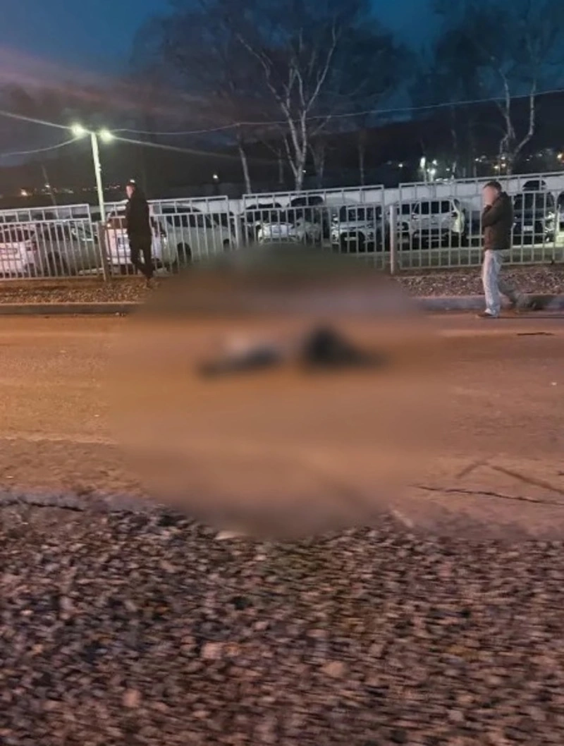 Легковушка сбила насмерть пешехода с собакой в Южно-Сахалинске 