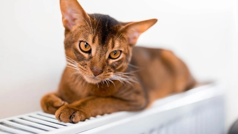 Отопление отключат на трех улицах Южно-Сахалинска 20 января