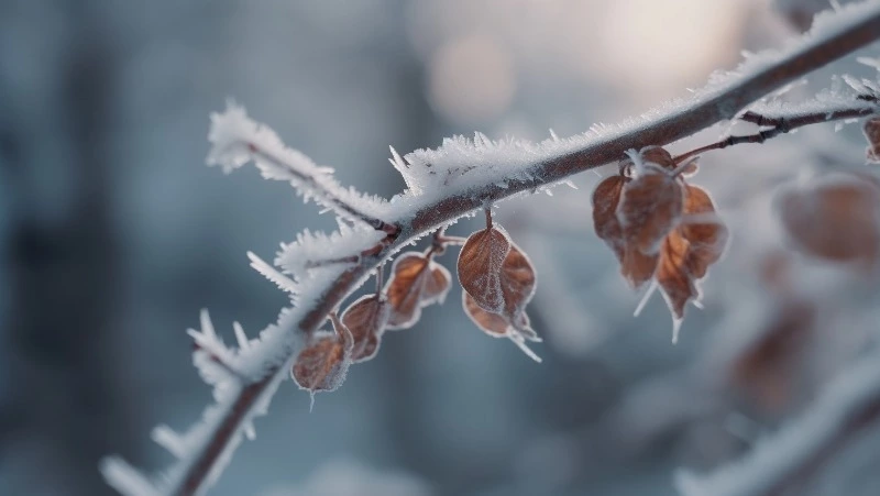 Гололед и снег ожидают на Сахалине и Курилах 17 марта