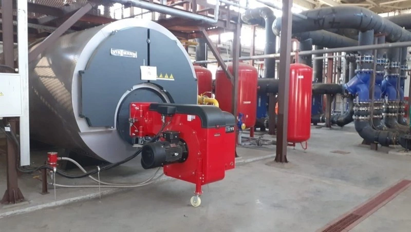 Юго-восток Сахалина получит газ: запуск ГРС в Корсакове расширил сеть газоснабжения