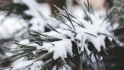 Снег и морозы до −18 градусов на Сахалине и потепление на Курилах ожидают 26 ноября