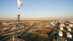 Два производства для нефтегазовой отрасли запустят на Сахалине в рамках ДЭФ