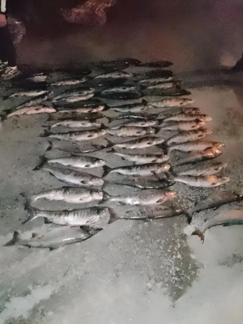 Машина с запахом рыбы привлекла сотрудников ГАИ в Южно-Сахалинске