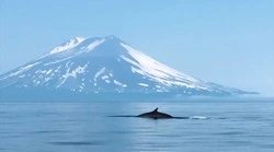 Остров Монерон откроют для массового туризма