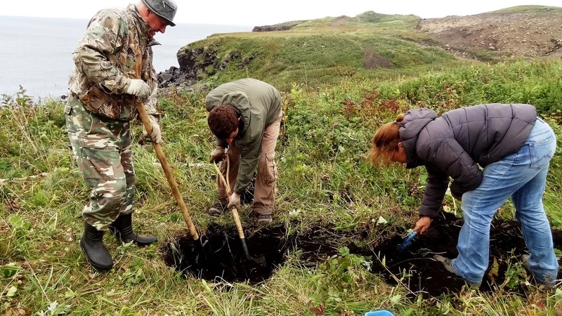 Пандемия сорвала полевой сезон сахалинских и японских археологов