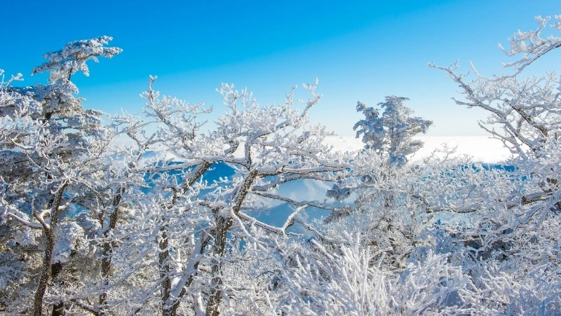Жуткий мороз: до -28 градусов прогнозируют на Сахалине, а на Курилах — снег и потепление