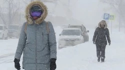 Сильную метель ожидают в южных районах Сахалина 15 и 16 февраля