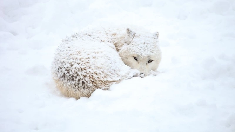 Народные приметы на 12 декабря 2023: что нельзя делать в этот день