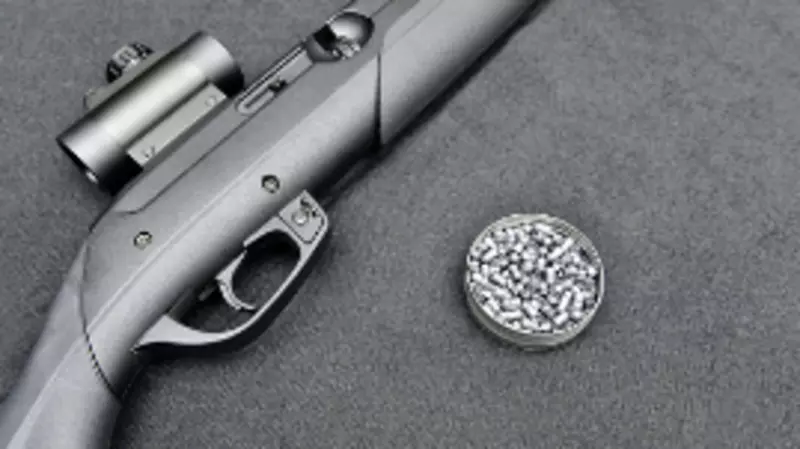 Чтобы в школах не стреляли. Новые правила безопасности предложил СПЧ