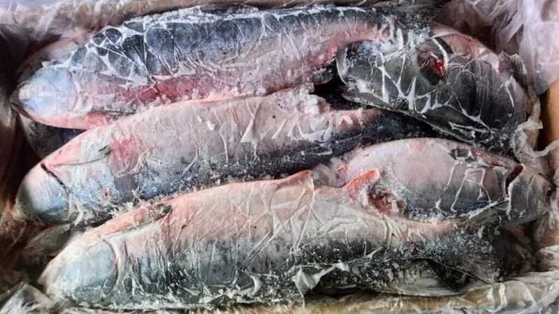 На Сахалин прибыла очередная партия свежемороженой горбуши