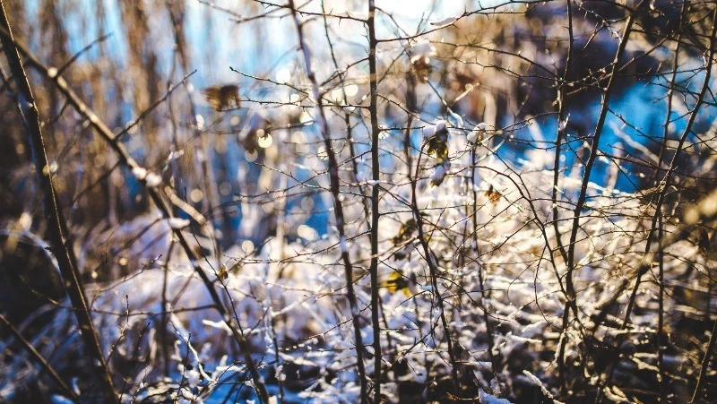 Осадки и до +5 градусов ждут жителей Сахалина и Курил 16 марта