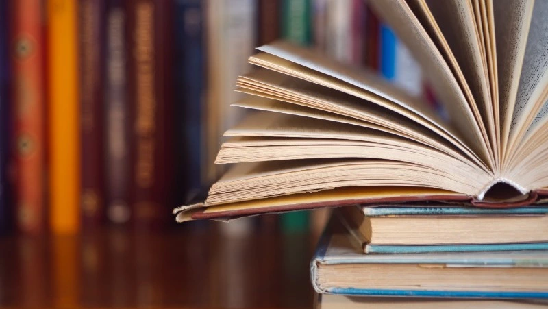 Тест на знания: ваша эрудиция недосягаема, если осилите 8/11 вопросов