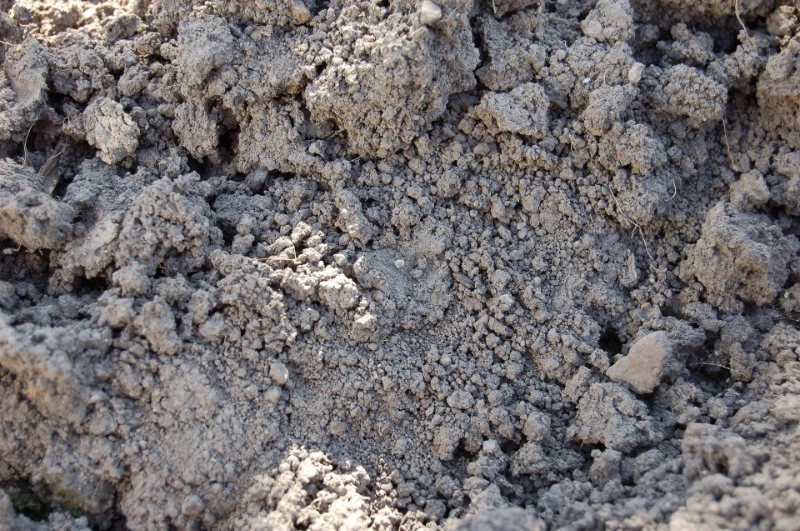 Жители Северо-Курильска попросили губернатора заасфальтировать улицу 