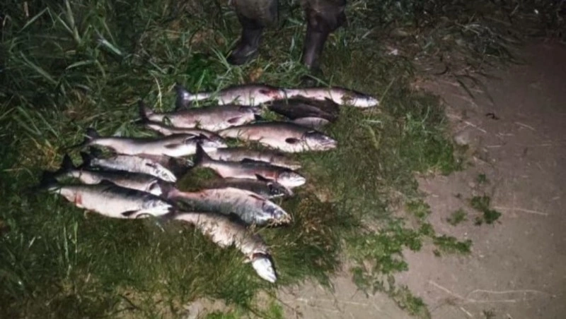 Рыбаков-нарушителей с сетями и горбушей поймали в Макаровском районе 11 июля