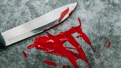 Мужчина ударил ножом знакомую на Сахалине за претензии по поводу образа жизни