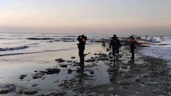 СК начал доследственную проверку из-за исчезновения двух рыбаков в заливе Терпения