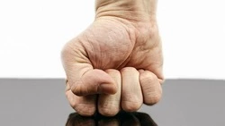 Житель Сахалина получил 2,5 года условно за избиение сотрудника полиции