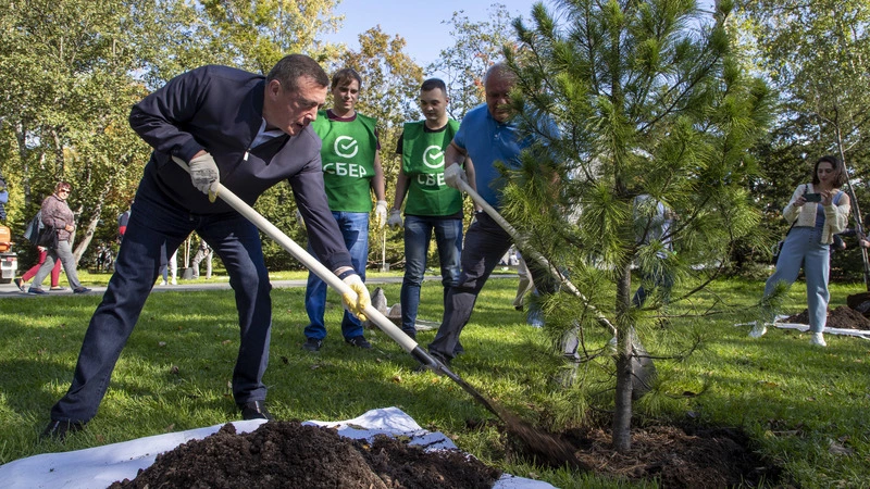 Сахалин хотят «закедрить»