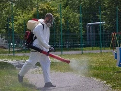 Южно-Сахалинск вступил в новую фазу операции по борьбе с клещами