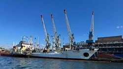 За неделю с Сахалина и из Приморья отправили на экспорт 20 тысяч тонн рыбы