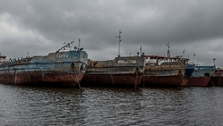 Водолазы обследуют судно, затонувшее 15 лет назад в Охотском море