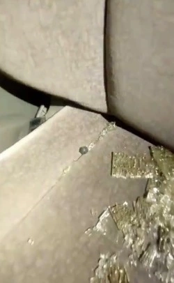 На Сахалине водитель внедорожника сбил собаку и открыл стрельбу в попытке скрыться