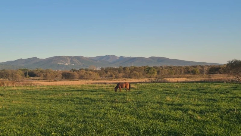 Ученые: после землетрясения Сахалин сдвинулся на 10 сантиметров, Парамушир — на два метра