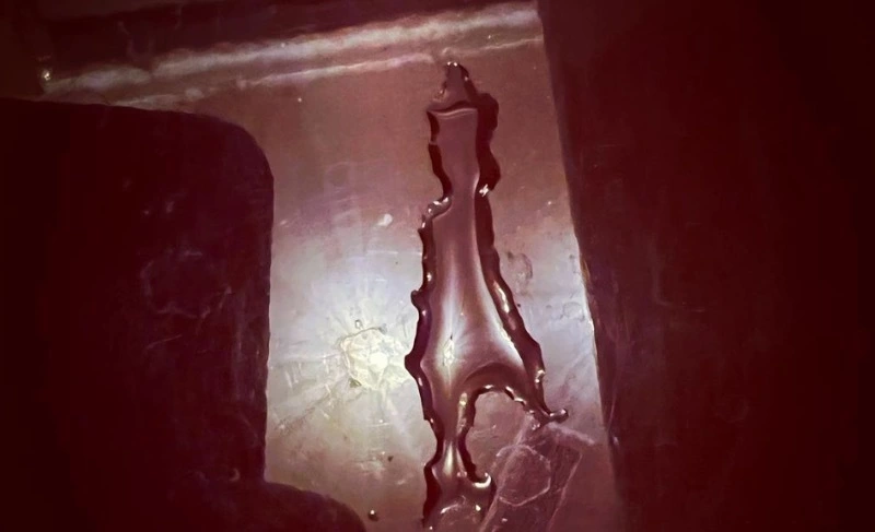 Сахалинка в Москве получила неожиданный «привет» от родины