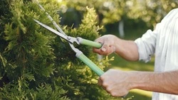 Календарь огородника: что нужно сажать в полнолуние с 3 по 5 июня