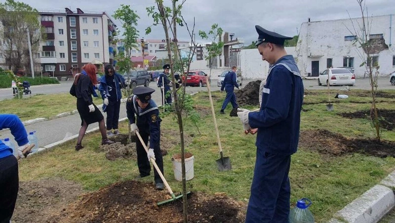 Почти 8 тысяч деревьев высадят на Сахалине в рамках акции «Сад памяти»