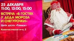 Афиша Южно-Сахалинска на 25 декабря: сказки для детей и «Мафия» в чайной