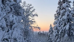 Снег и сильный ветер ожидают в Сахалинской области 26 января 