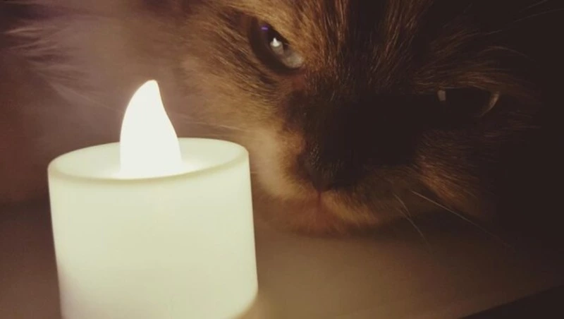 Села, планировочный район и две улицы Южно-Сахалинска остались без света 22 октября