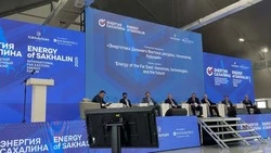 На Сахалине стартовал Международный Дальневосточный энергетический форум