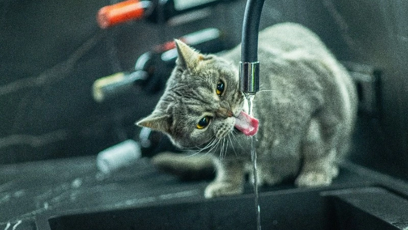 В Южно-Сахалинске три дома остались без горячей воды 22 августа