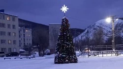 Вандалы срезали новогодние гирлянды в селе на Сахалине