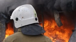 Семеро пожарных тушили горящую кучу мусора в Южно-Сахалинске