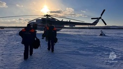 Крушение вертолета и убийство оленей: громкие события февраля 2023 года на Сахалине