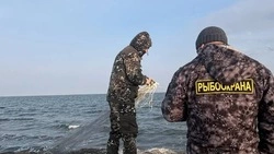 Рыбоохрана оштрафовала сахалинских рыбаков почти на 40 тысяч рублей за неделю 