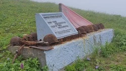 Останки шестерых солдат нашли поисковики на самом северном острове Курил