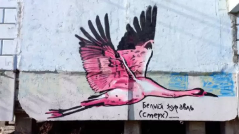 Стрит-арты от сахалинского художника украсили улицы Хабаровска и Якутска