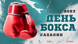 Звезды бокса мирового уровня приедут на Сахалин