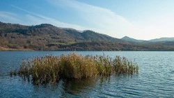 Мэрия Томари поможет решить проблему с кучей мусора у Айнского озера